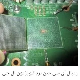 ریبال مین برد الجی